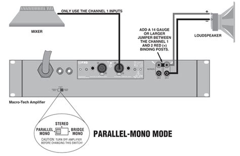 mono one chanel balanced ampilier|Double Bass .